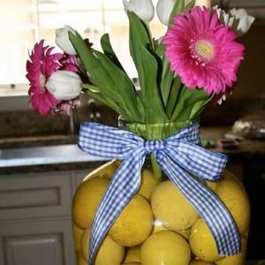 Meet your Posher, Missy